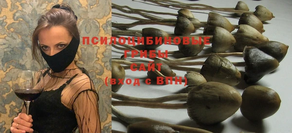 дурь Семёнов