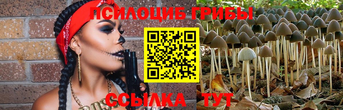 Галлюциногенные грибы GOLDEN TEACHER Дзержинский