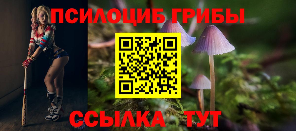 дарнет шоп  Вход с VPN  Дзержинский  Псилоцибиновые грибы MAGIC MUSHROOMS 